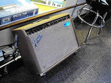 Fender Acoustisonic Junior Amp with wheels