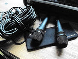 Sennheiser E845 Microphone